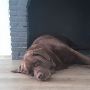 Charlotte met Spike